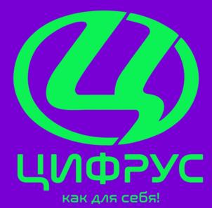 Товарный знак №1037336, принадлежит правообладателю Шалин Кирилл Михайлович, ОГРН 0, ИНН 772636762202