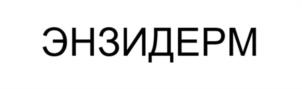 Товарный знак №1037730, принадлежит организации Общество с ограниченной ответственностью "ИННЕО", ОГРН 1177746373870, ИНН 9718058540