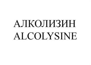 Товарный знак №1038205, принадлежит ИП Федотов Святослав Александрович, ОГРНИП 322784700190832, ИНН 784301286689
