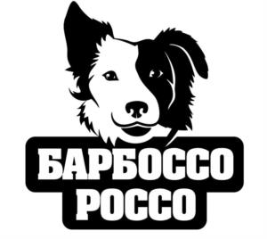 Товарный знак №1039091, принадлежит организации ОБЩЕСТВО С ОГРАНИЧЕННОЙ ОТВЕТСТВЕННОСТЬЮ "ПРОДОВОЛЬСТВЕННАЯ КОМПАНИЯ "САЯНЫ", ОГРН 1021900527110, ИНН 1901048426