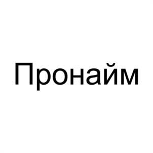 Товарный знак №1040012, принадлежит организации ОБЩЕСТВО С ОГРАНИЧЕННОЙ ОТВЕТСТВЕННОСТЬЮ "ПРОНАЙМ", ОГРН 1237700556631, ИНН 9729352857