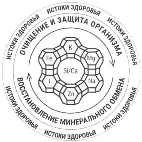 Товарный знак №1040593, принадлежит организации Акционерное общество Научно-производственная фирма "Новь", ОГРН 1025402479321, ИНН 5406039801