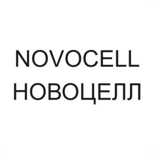 Товарный знак №1042719, принадлежит организации Общество с ограниченной ответственностью "Сибирская Цементная Компания", ОГРН 1165476200174, ИНН 5408012940