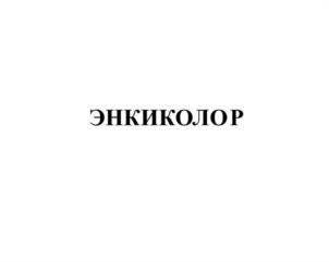 Товарный знак №1042816, принадлежит организации Общество с ограниченной ответственностью "ЭНКИ КОМПЛЕКТ", ОГРН 1077847217568, ИНН 7811370421