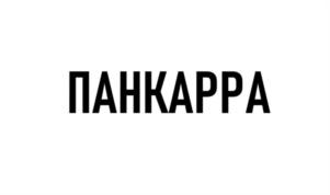 Товарный знак №1042956, принадлежит организации Общество с ограниченной ответственностью «ВИОЛАТУР», ОГРН 1224100000123, ИНН 4100041304