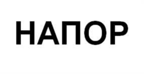 Товарный знак №1043641, принадлежит организации Акционерное общество "НАПОР", ОГРН 1021603622204, ИНН 1660001115