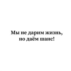 Товарный знак №1043877, принадлежит организации АКЦИОНЕРНОЕ ОБЩЕСТВО "ФОРТ ТЕХНОЛОГИЯ", ОГРН 1027700334419, ИНН 7710060720