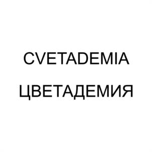 Товарный знак №1044503, принадлежит ИП Осипова Анастасия Сергеевна, ОГРНИП 323547600161154, ИНН 540304979281