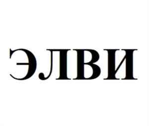 Товарный знак №1045320, принадлежит организации Общество с ограниченной ответственностью «Элви», ОГРН 1237700065272, ИНН 9701238167