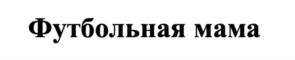 Товарный знак №1046462, принадлежит ИП ЛЕСНИЧАЯ ЭЛЬВИРА ЗАМИРОВНА, ОГРНИП 319784700393298, ИНН 780721238828