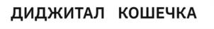Товарный знак №1048723, принадлежит организации Общество с ограниченной ответственностью «Флашелс», ОГРН 1111690066542, ИНН 1657109736
