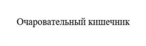 Товарный знак №1050215, принадлежит организации Общество с ограниченной ответственностью «Издательство «Эксмо», ОГРН 1027739148656, ИНН 7708188426