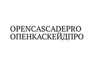 Товарный знак №1050321, принадлежит организации Общество с ограниченной ответственностью «ОПЕНКАСКЕЙД ПРОФЕССИОНАЛЬНЫЙ», ОГРН 1225200016700, ИНН 5260483510
