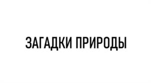 Товарный знак №1051426, принадлежит ИП Шляпин Артём Михайлович, ОГРНИП 323180000015722, ИНН 183801530721