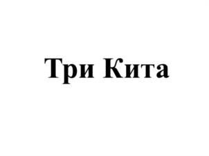 Товарный знак №1051567, принадлежит ИП Сабиров Раиль Галимзянович, ОГРНИП 314169020200058, ИНН 165503069915
