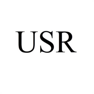 Товарный знак №1052338, принадлежит организации Общество с ограниченной ответственностью "ЮГ СТРОЙ РЕСУРС", ОГРН 1182375071988, ИНН 2366007072