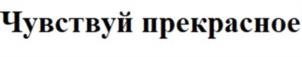 Товарный знак №1054036, принадлежит ИП Григорьев Денис Андреевич, ОГРНИП 319784700039201, ИНН 780539483340