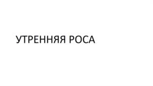 Товарный знак №1054780, принадлежит организации Общество с ограниченной ответственностью "Хаусхерц Корпорэйшн", ОГРН 1204000005010, ИНН 4025456360