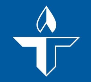 Товарный знак №1055754, принадлежит организации Общество с ограниченной ответственностью "ТРЕНДОЙЛ ТЕРМИНАЛ", ОГРН 1215600012517, ИНН 5638079152