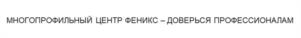 Товарный знак №1058072, принадлежит организации ОБЩЕСТВО С ОГРАНИЧЕННОЙ ОТВЕТСТВЕННОСТЬЮ МНОГОПРОФИЛЬНЫЙ ЦЕНТР «ФЕНИКС», ОГРН 1167456087402, ИНН 7453296260