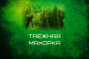 Товарный знак №1058479, принадлежит ИП Кривошеин Дмитрий Андреевич, ОГРНИП 323220200102097, ИНН 222207121839
