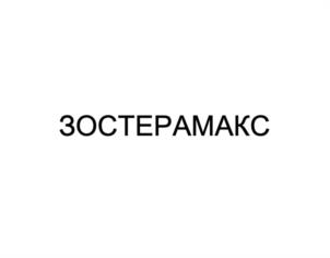 Товарный знак №1059457, принадлежит организации Общество с ограниченной ответственностью "Тард", ОГРН 1217800011307, ИНН 7814785720