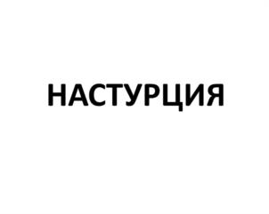 Товарный знак №1061819, принадлежит организации Общество с ограниченной ответственностью "СПЕКТОР", ОГРН 1082312008437, ИНН 2312153101