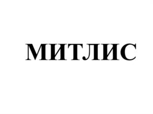 Товарный знак №1061894, принадлежит организации ОБЩЕСТВО С ОГРАНИЧЕННОЙ ОТВЕТСТВЕННОСТЬЮ "МИТЛИС", ОГРН 1167746458879, ИНН 7709492098