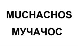 Товарный знак №1063215, принадлежит организации Общество с ограниченной ответственностью "Питейный дом", ОГРН 1050100534010, ИНН 105044397