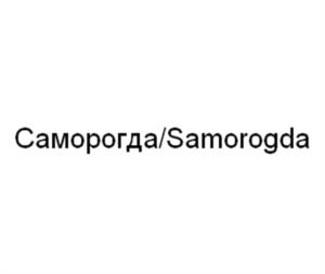 Товарный знак №1064313, принадлежит организации ОБЩЕСТВО С ОГРАНИЧЕННОЙ ОТВЕТСТВЕННОСТЬЮ "САМОРОГДА", ОГРН 1193443008978, ИНН 3443142909
