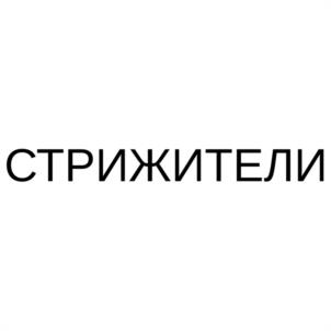 Товарный знак №1064537, принадлежит организации Общество с ограниченной ответственностью "ВЦИ-ИНЖИНИРИНГ", ОГРН 1103850016324, ИНН 3811139947