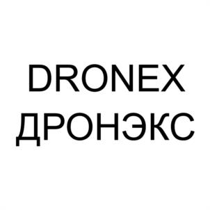 Товарный знак №1065069, принадлежит организации ОБЩЕСТВО С ОГРАНИЧЕННОЙ ОТВЕТСТВЕННОСТЬЮ "ДРОНЭКС", ОГРН 1237300014346, ИНН 7300027920
