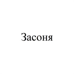 Товарный знак №1066791, принадлежит организации Общество с ограниченной ответственностью "Интернет-магазин 96", ОГРН 1136670027680, ИНН 6670413854