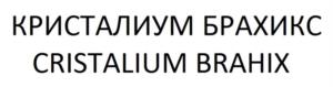Товарный знак №1066839, принадлежит организации Общество с ограниченной ответственностью «Комфинсервис», ОГРН 1027739440981, ИНН 7729358573