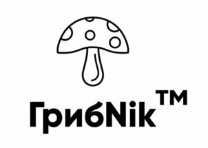 Товарный знак №1066924, принадлежит ИП Суфиянов Константин Фларитович, ОГРНИП 320861700023075, ИНН 860408731705
