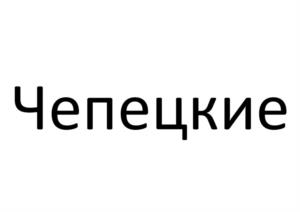 Товарный знак №1066946, принадлежит организации Общество с ограниченной ответственностью «САРАПУЛЬСКИЙ МЯСОКОМБИНАТ», ОГРН 1201800009234, ИНН 1832157012