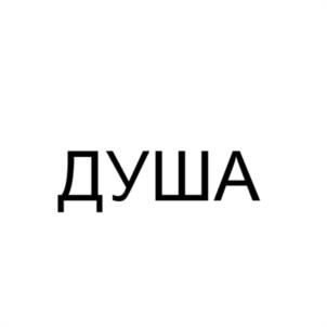 Товарный знак №1068348, принадлежит ИП Бражников Артём Андреевич, ОГРНИП 322169000224221, ИНН 165609263912