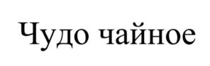Товарный знак №1070323, принадлежит организации Общество с ограниченной ответственностью "ДВ Невада", ОГРН 1192724011919, ИНН 2723205733