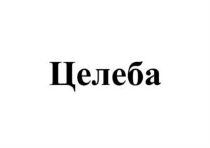 Товарный знак №1070613, принадлежит правообладателю Симонова Надежда Владимировна, ОГРН 0, ИНН 691102083273