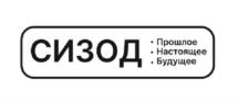 Товарный знак №1072581, принадлежит организации Общество с ограниченной ответственностью «Респираторный комплекс», ОГРН 1164704061070, ИНН 4703146360