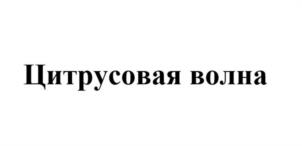 Товарный знак №1072853, принадлежит ИП Цыпуштанова Екатерина Александровна, ОГРНИП 319745600087821, ИНН 744917626104
