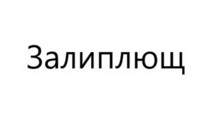 Товарный знак №1073063, принадлежит организации Акционерное общество «Международная Торговая Компания «АЛИСА», ОГРН 1097746307340, ИНН 7726630252