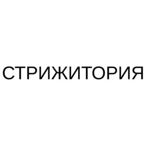 Товарный знак №1074576, принадлежит организации Общество с ограниченной ответственностью "ВЦИ-ИНЖИНИРИНГ", ОГРН 1103850016324, ИНН 3811139947