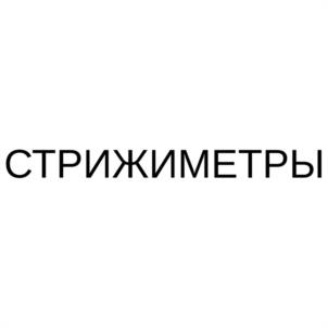 Товарный знак №1074577, принадлежит организации Общество с ограниченной ответственностью "ВЦИ-ИНЖИНИРИНГ", ОГРН 1103850016324, ИНН 3811139947