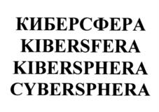 Товарный знак №1074877, принадлежит организации Акционерное общество "Научно-производственный центр "МАКС", ОГРН 1027700178934, ИНН 7722010258