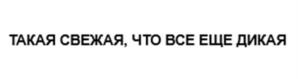 Товарный знак №1076935, принадлежит организации Общество с ограниченной ответственностью "КОРИНФ ТРЕЙД КОМПАНИ РУС", ОГРН 1197847043866, ИНН 7820069186