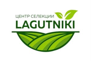 Товарный знак №1077152, принадлежит ИП Чаусов Андрей Николаевич, ОГРНИП 315617400006936, ИНН 610700323592