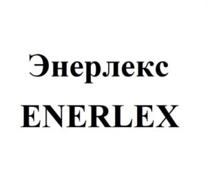 Товарный знак №1077185, принадлежит организации Общество с ограниченной ответственностью «ПАЙПЛЕКС», ОГРН 1232400011986, ИНН 2460123502