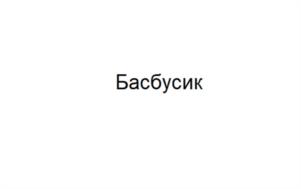Товарный знак №1077213, принадлежит организации Общество с ограниченной ответственностью «Бас Чартер», ОГРН 1117746499034, ИНН 7743821680