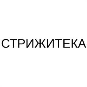 Товарный знак №1078282, принадлежит организации Общество с ограниченной ответственностью "ВЦИ-ИНЖИНИРИНГ", ОГРН 1103850016324, ИНН 3811139947